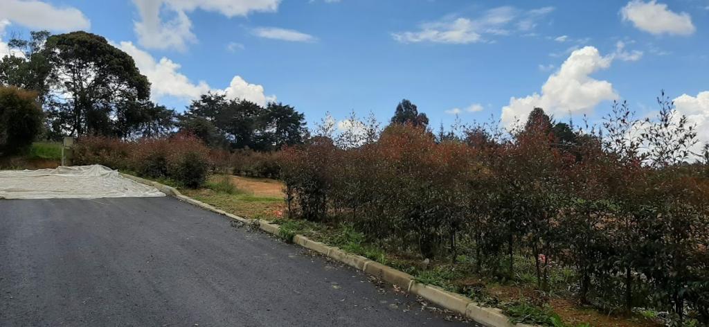 2022060336111528675251101