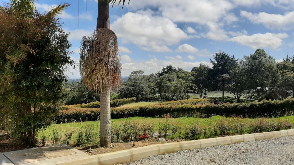 2022060336122060975251101