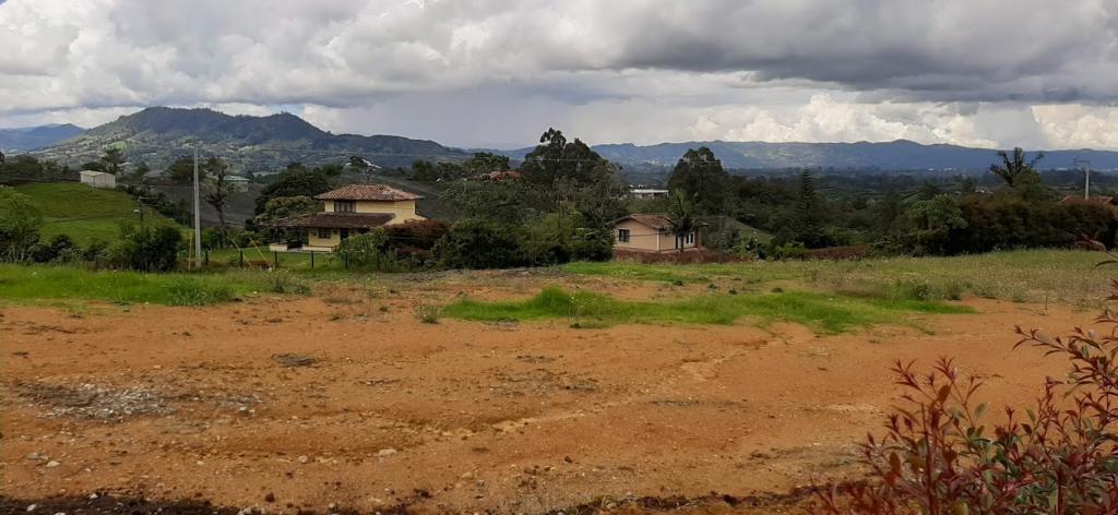 2022060336145540285251101