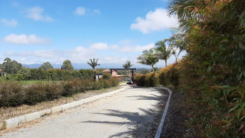 2022060336180008135251101