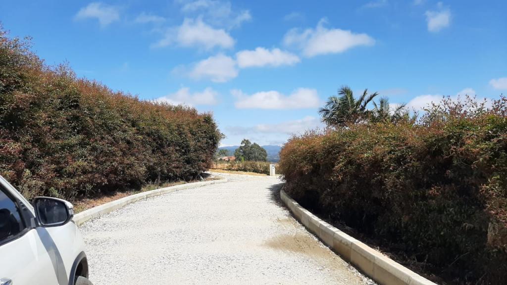 2022060336191080365251101