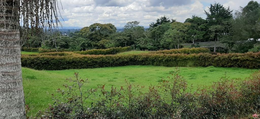 2022060336236963695251103-1