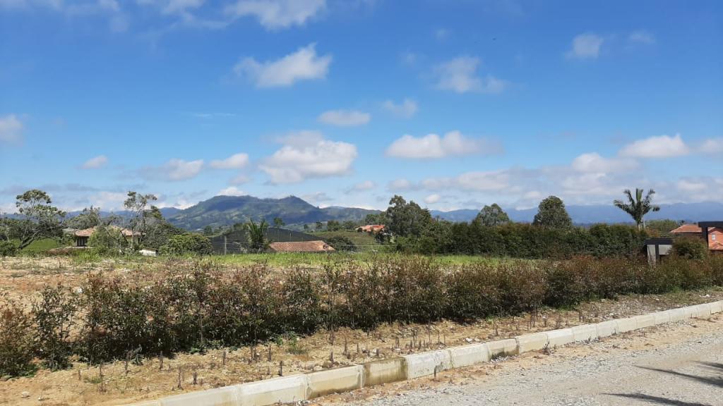 2022060336307433935251103