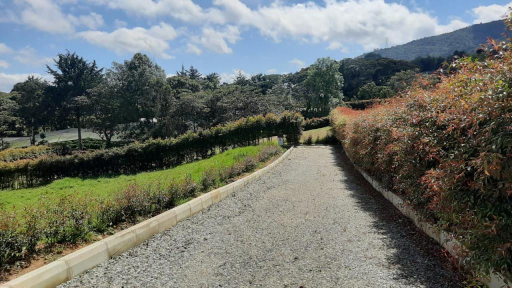 2022060336318488045251103