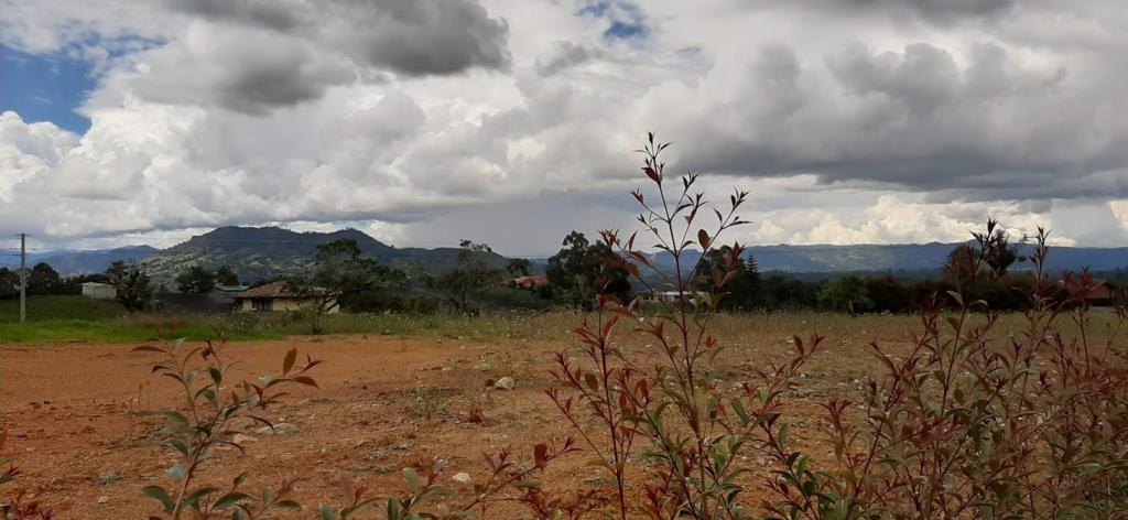 2022060336381900485251103