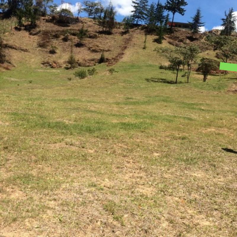 2022060345382519325251198-1