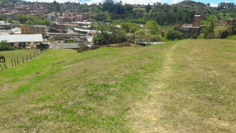 2022060345391179545251198