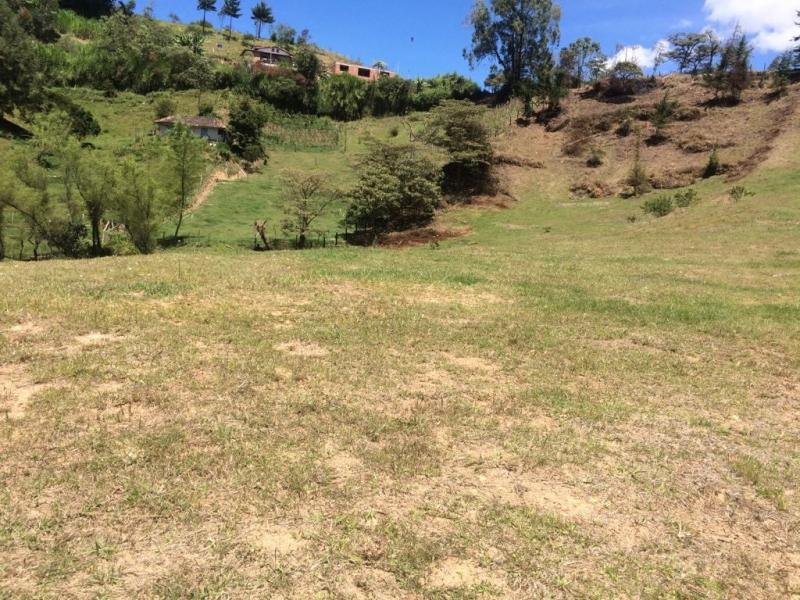 2022060345401658275251198