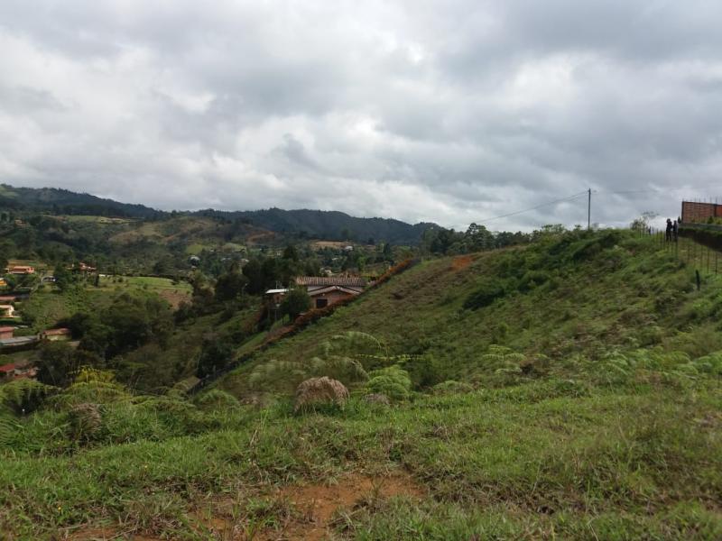 2022060345424890895251199