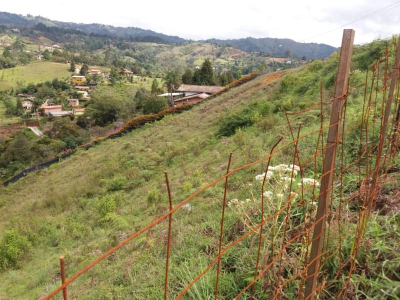 2022060345431932945251199