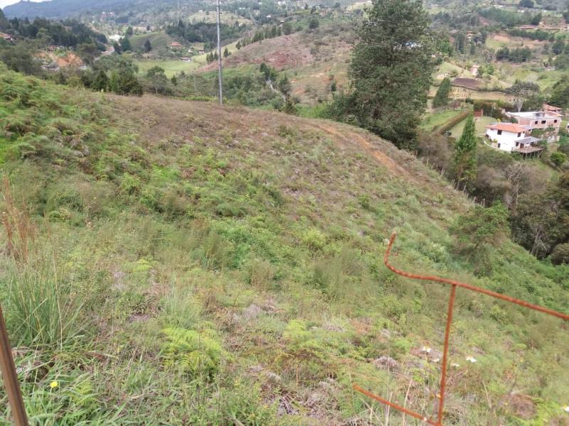 2022060345443300795251199