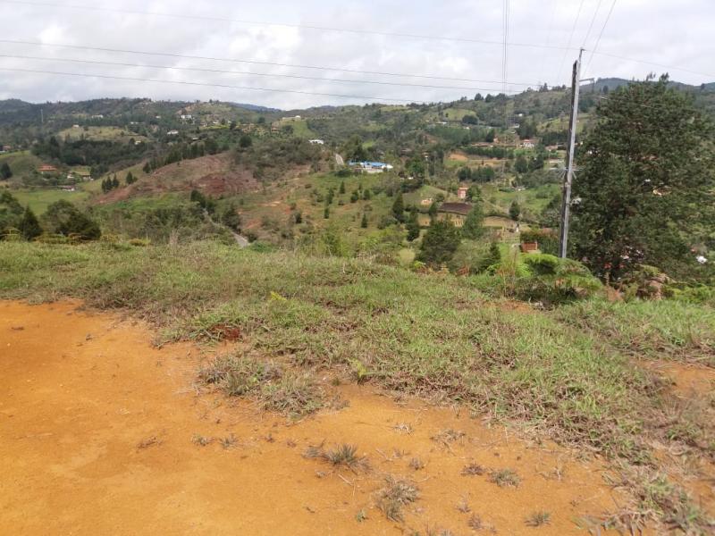 2022060345455209625251199-1