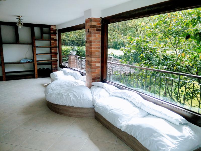 2022060418538173855251579