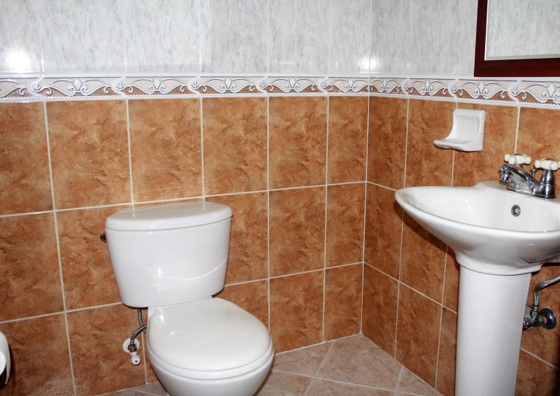 2022060420173616905251598