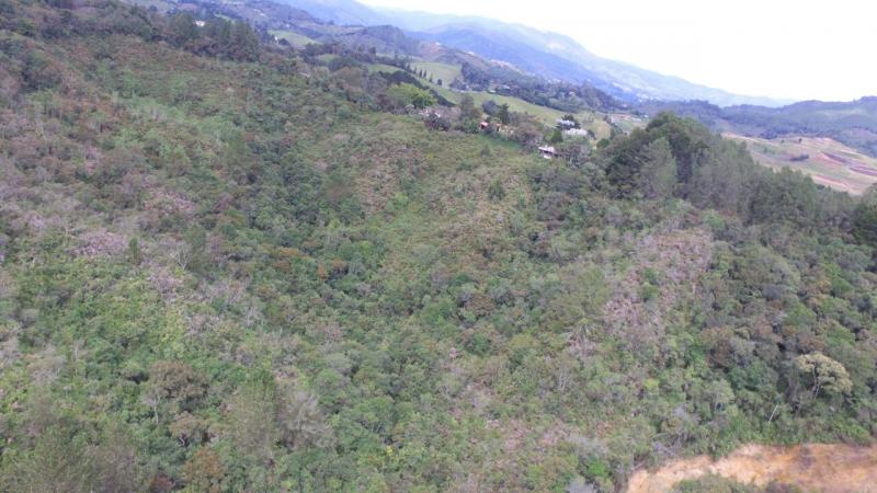 2022060424477460555251662