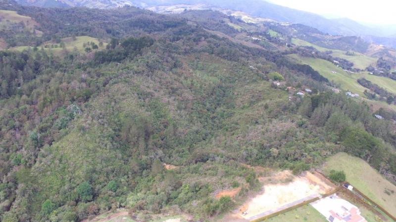 2022060424499433635251662