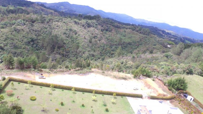 2022060424505245345251662