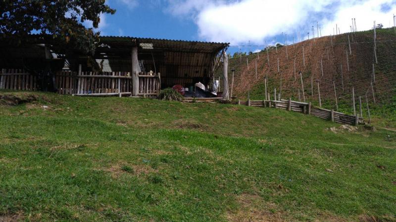 2022060427422087495251700-1