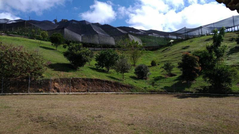 2022060427426766065251700