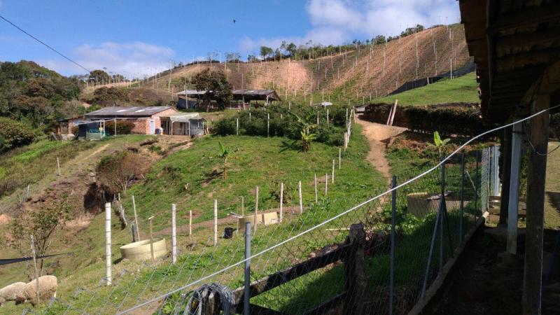 2022060427436546605251700