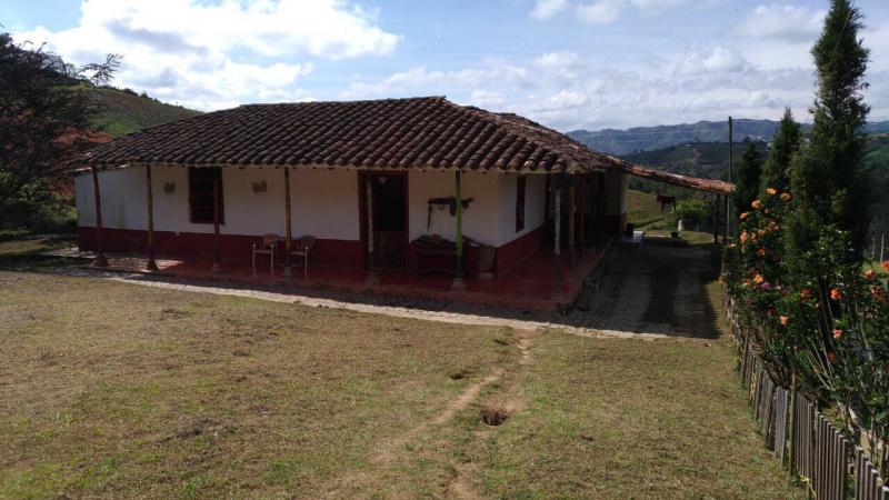 2022060427446295345251700