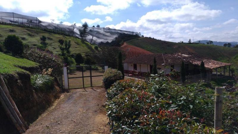 2022060427464652215251700