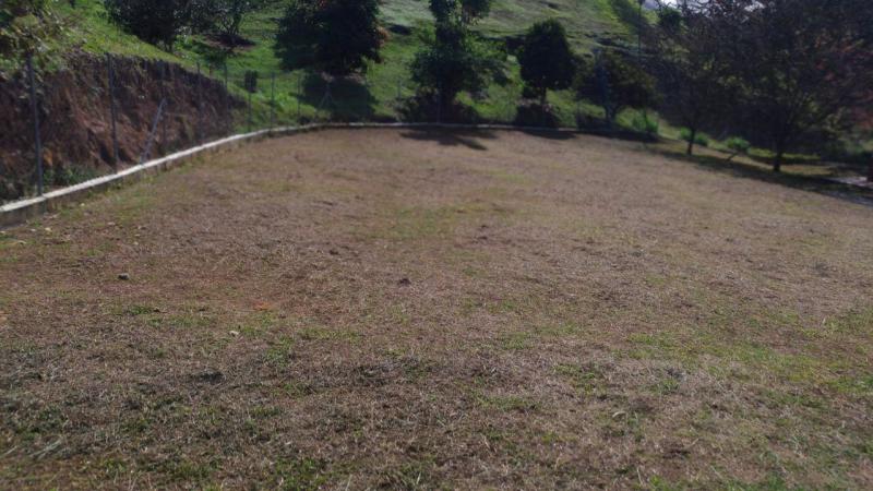 2022060427480069365251700