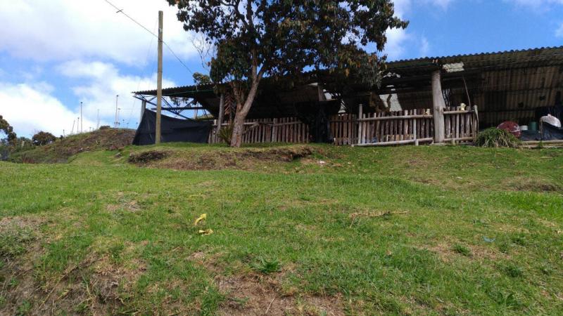 2022060427491627235251700