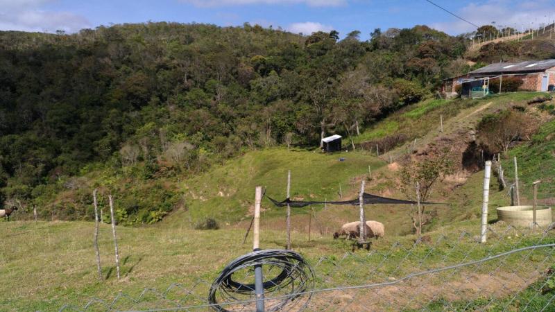 2022060427502143205251700