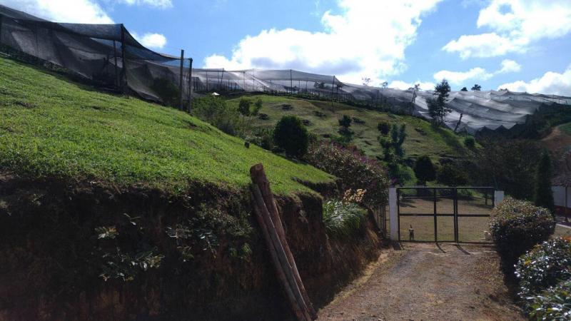 2022060427507752725251700