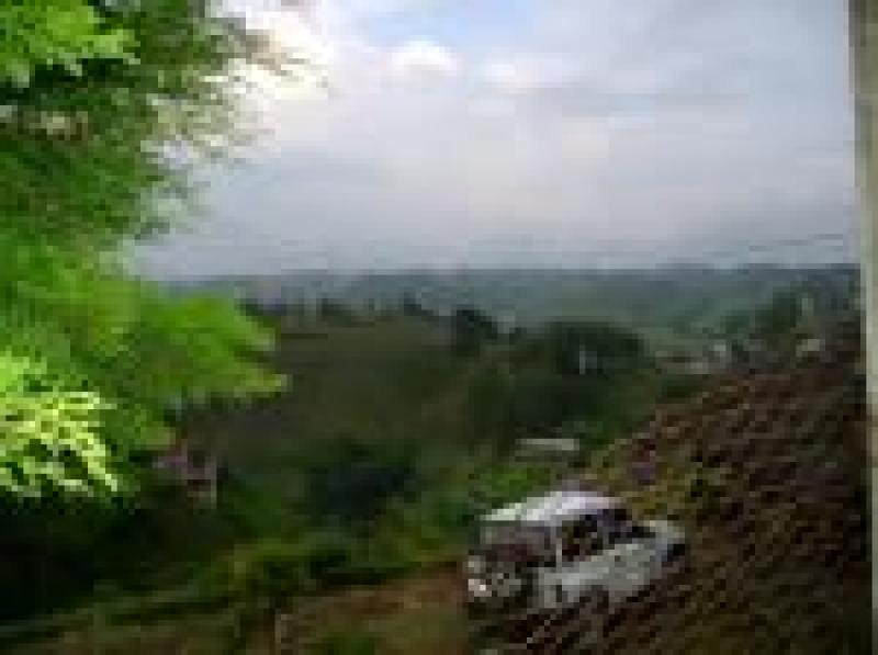 2022060429075308635251717-1