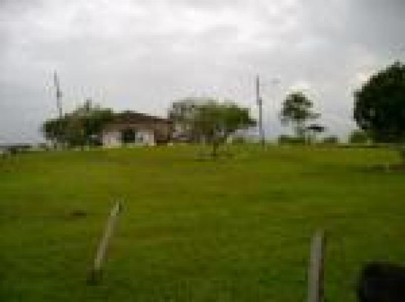 2022060429081592195251717