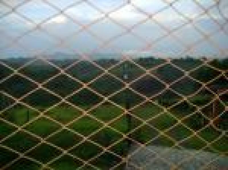 2022060429087399415251717