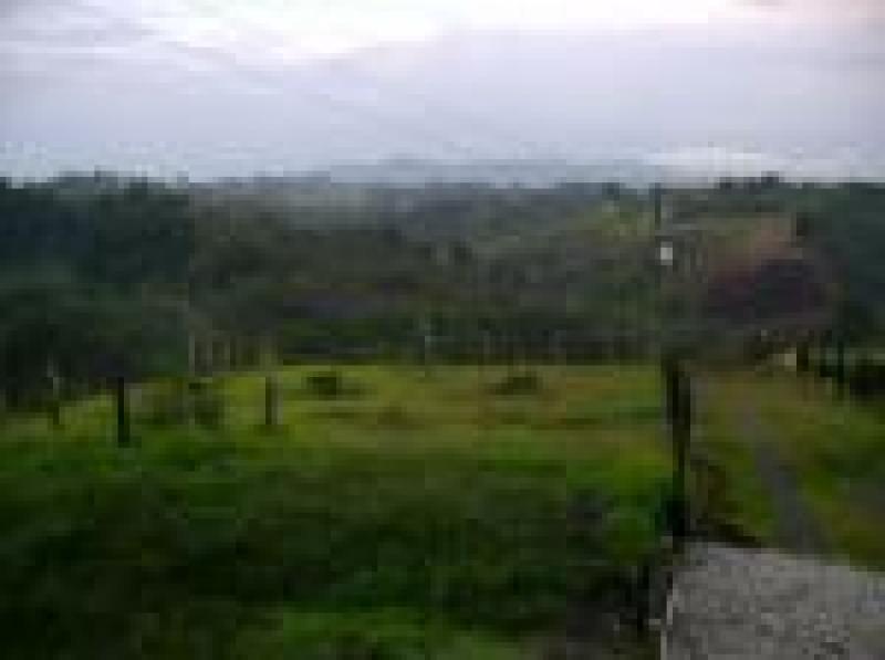 2022060429096435825251717