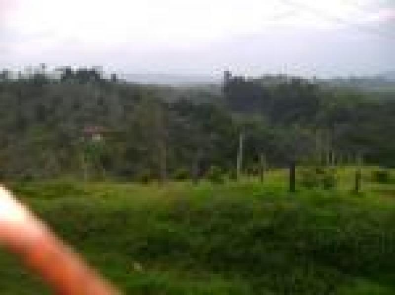 2022060429104900675251717