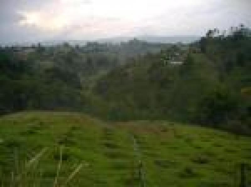 2022060429109638905251717