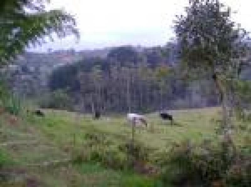 2022060429117609305251717