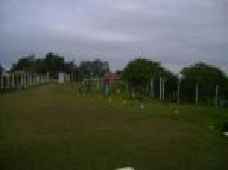 2022060429123323825251717