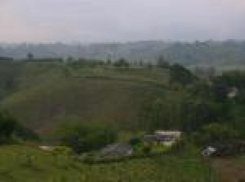 2022060429131363975251717