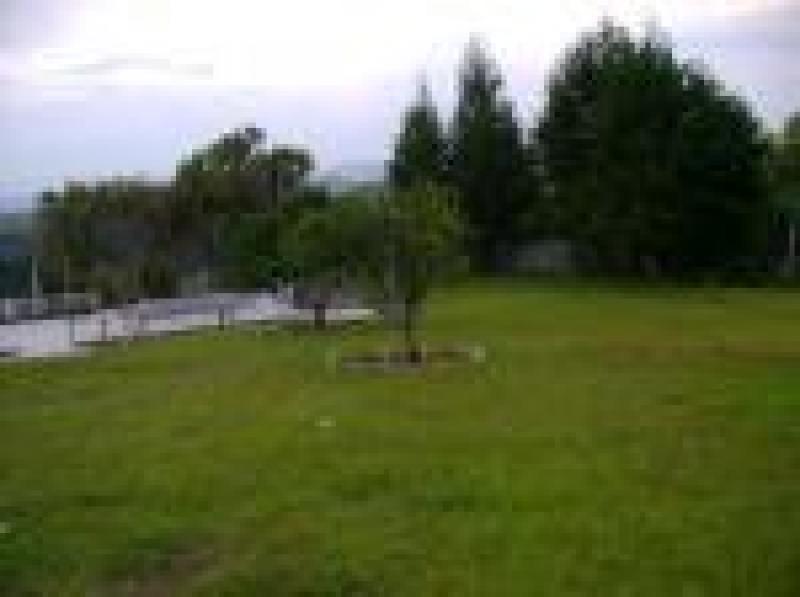 2022060429144002415251717