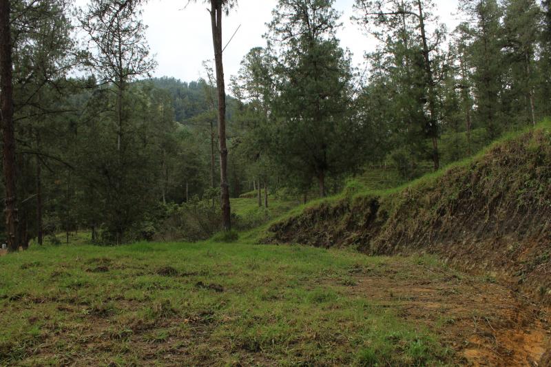 2022060429341765685251720-1