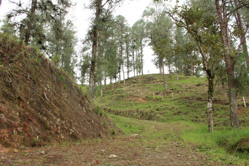 2022060429354368875251720