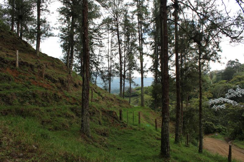 2022060429363942395251720