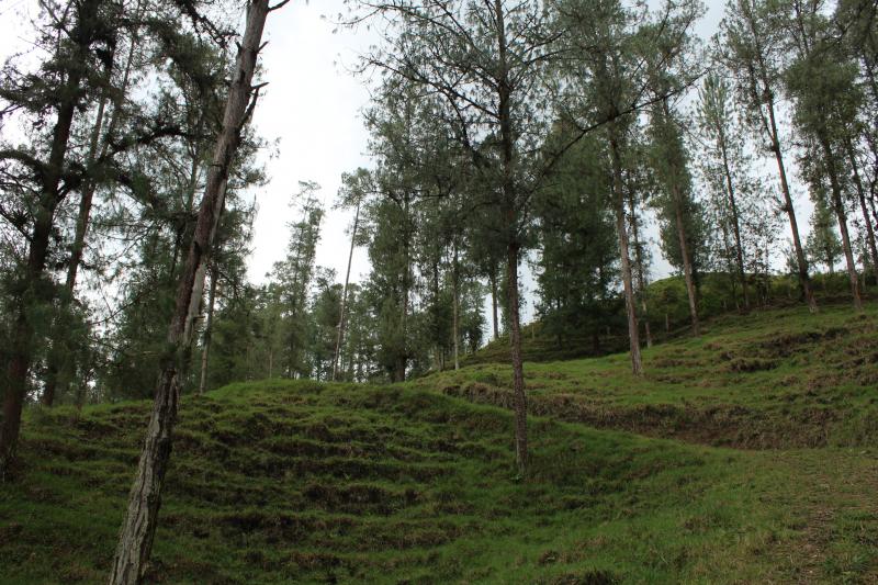 2022060429376074225251720