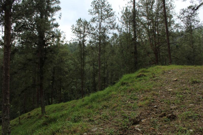 2022060429383324795251720