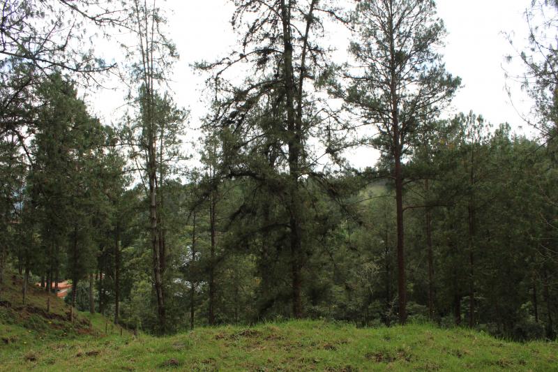 2022060429393359235251720