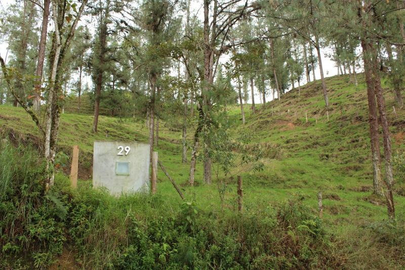 2022060429400569665251720