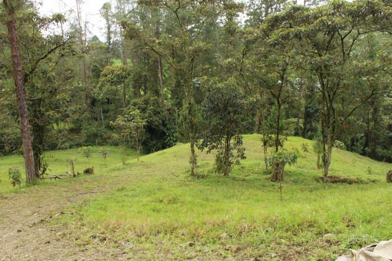 2022060429416358375251722-1