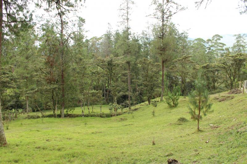 2022060429421491525251722