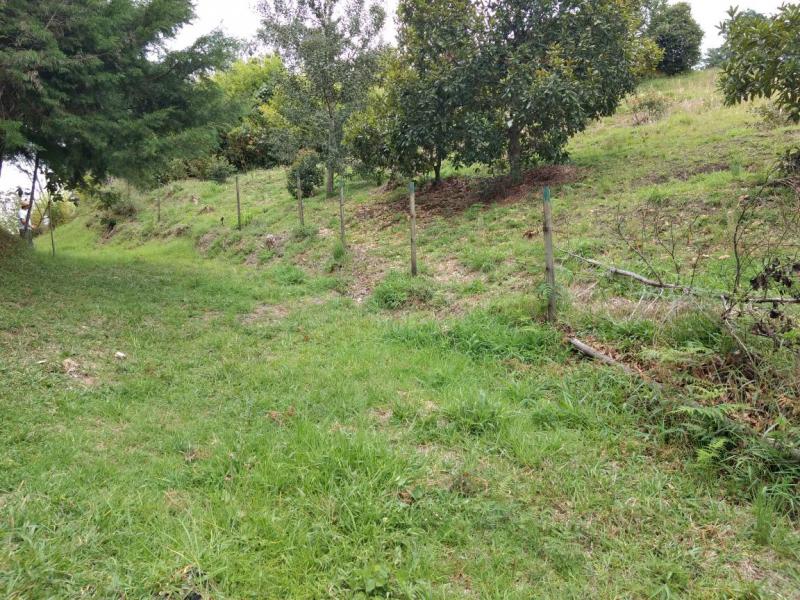 2022060431584209935251752